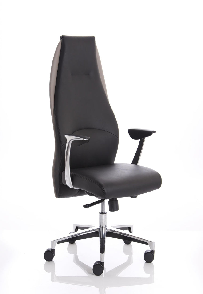 A high back executive office chair with fixed arms, polished aluminium armrests, and a 5 star base, upholstered in black soft bonded leather.