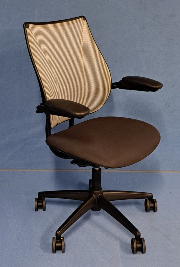 Humanscale Diffrient World Mesh Chair (used)