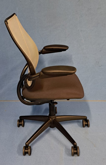 Humanscale Diffrient World Mesh Chair (used)