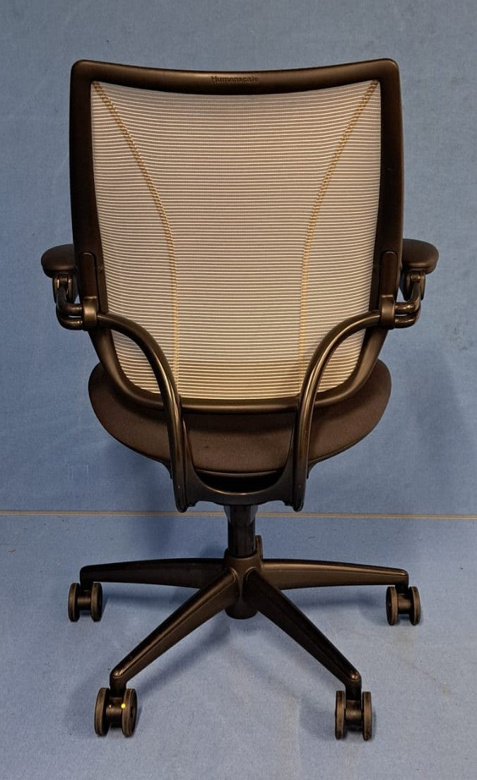 Humanscale Diffrient World Mesh Chair (used)