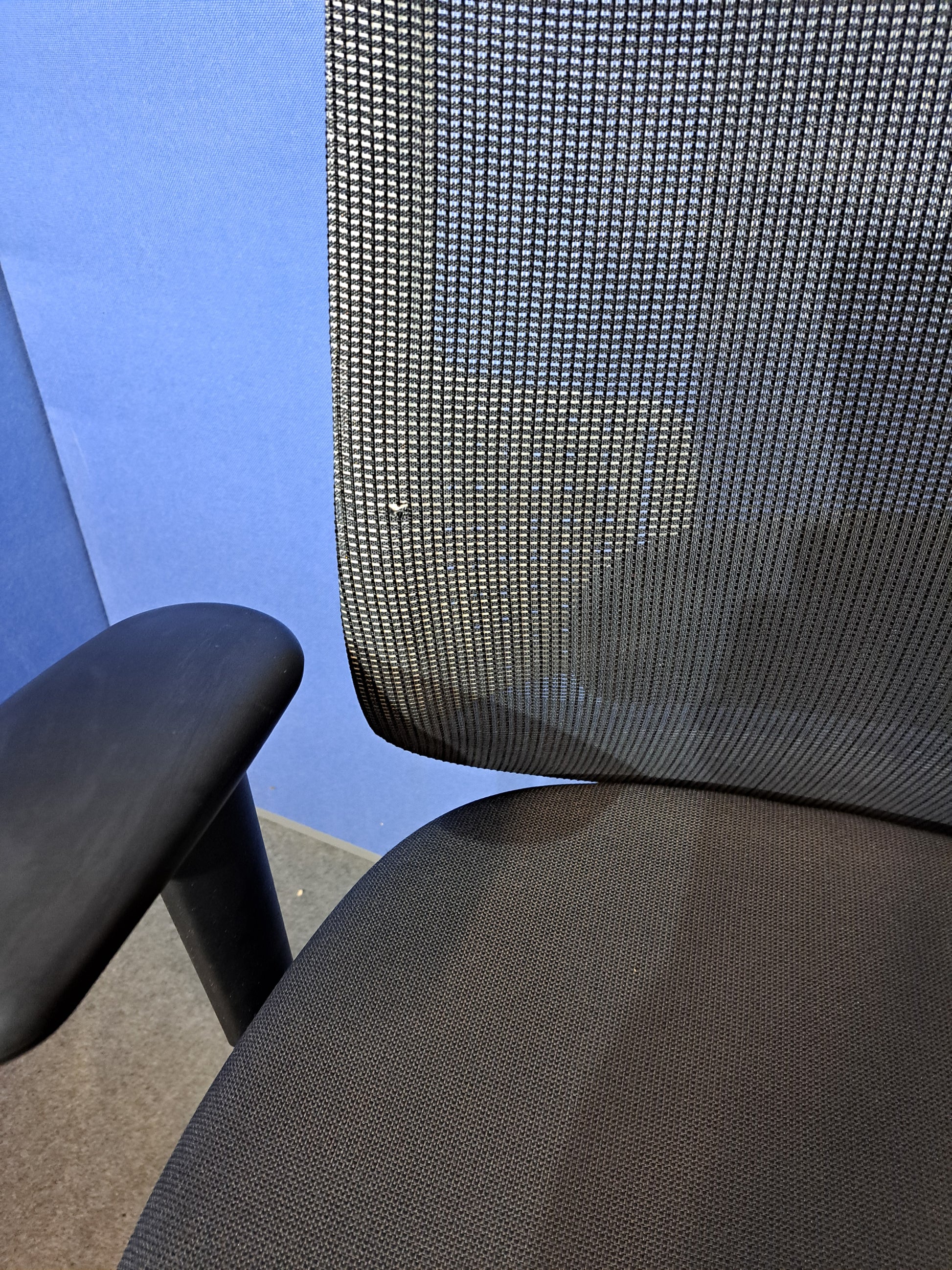 Grey mesh back office chair on a blue wall and grey carpet