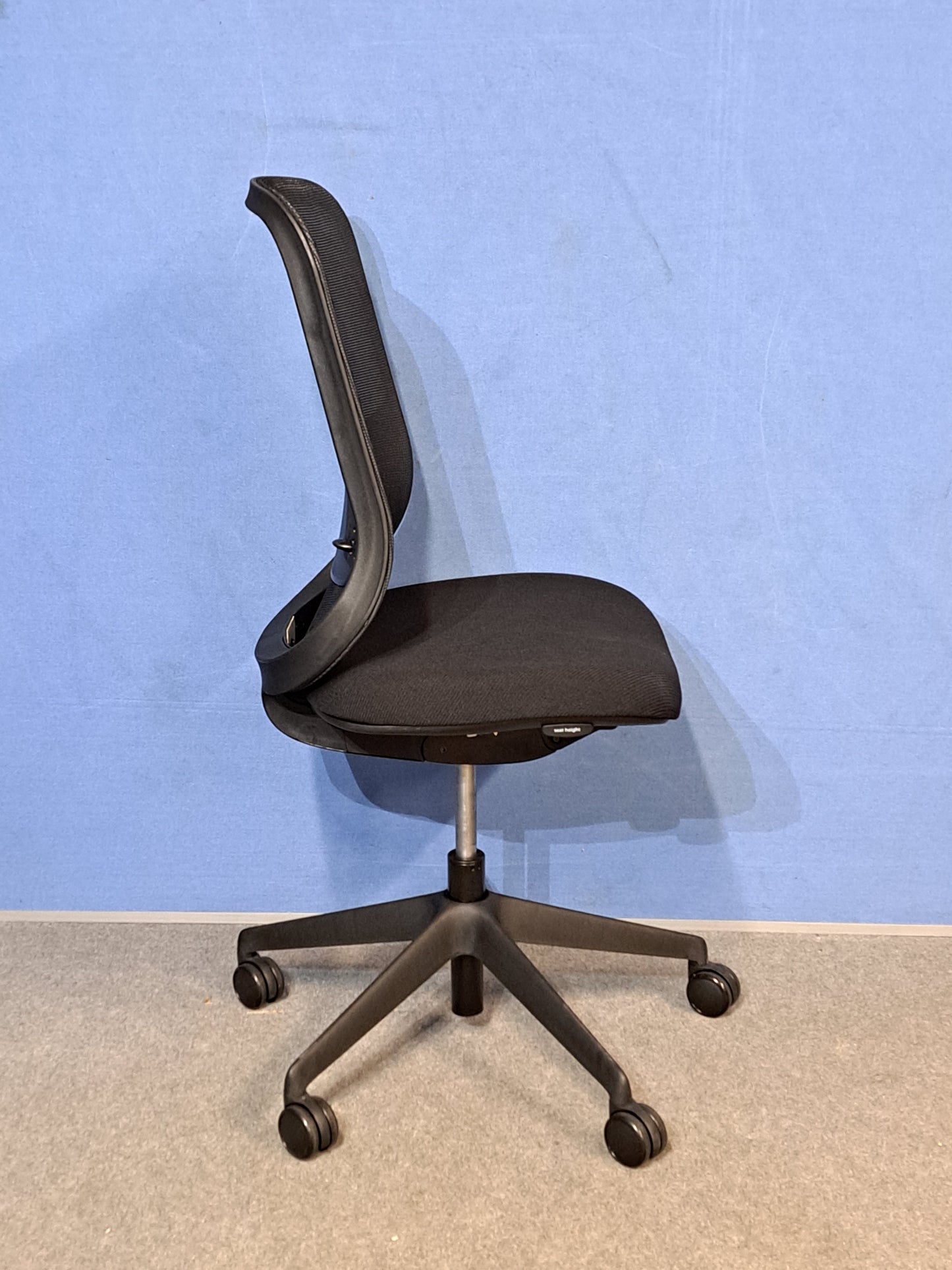 Black office chair against a blue wall and grey carpet