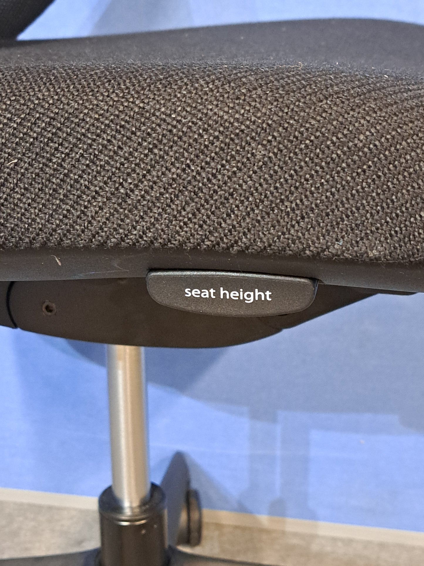 Black office chair on a blue wall and grey carpet