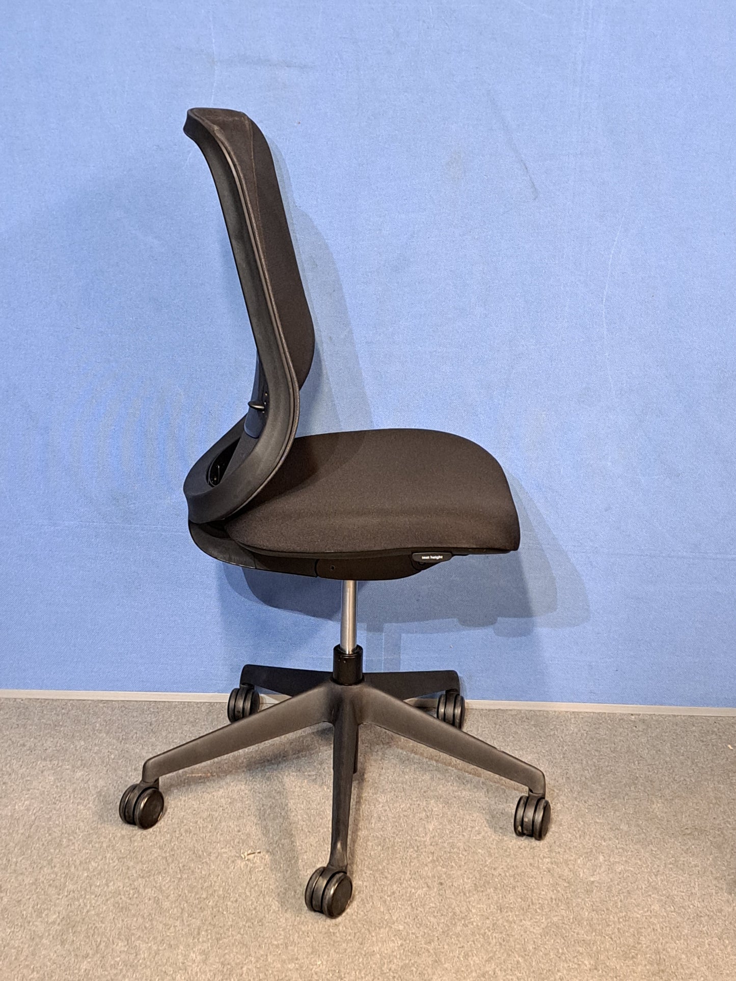Black office chair on a blue wall and grey carpet