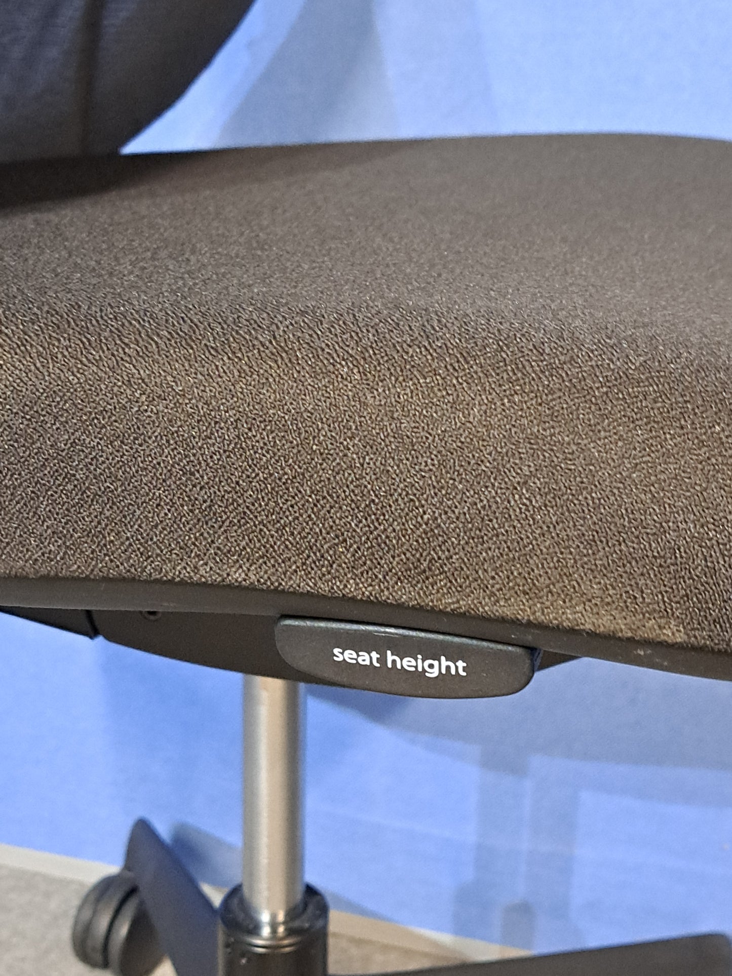 Black office chair on a blue wall and grey carpet