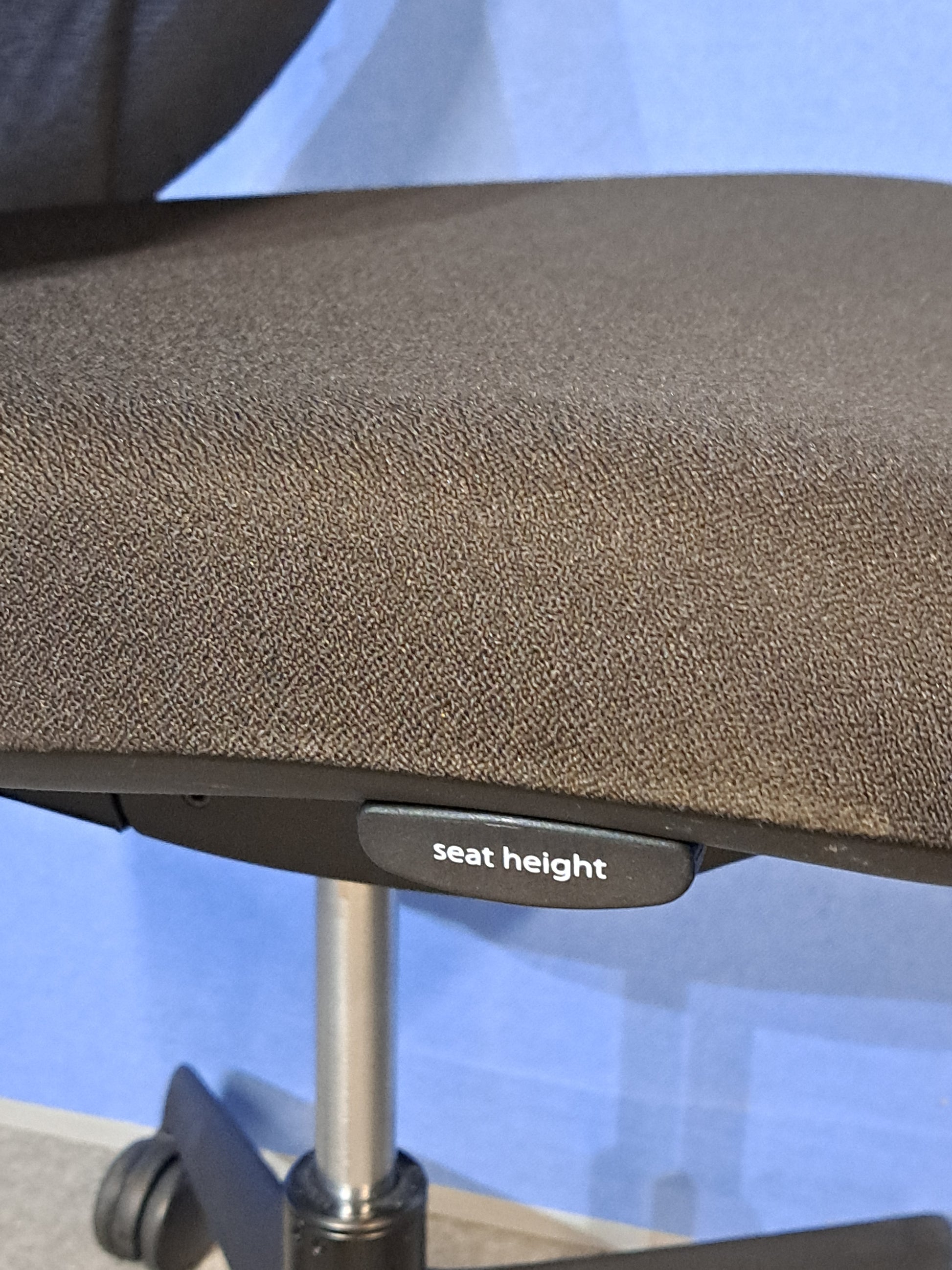 Black office chair on a blue wall and grey carpet