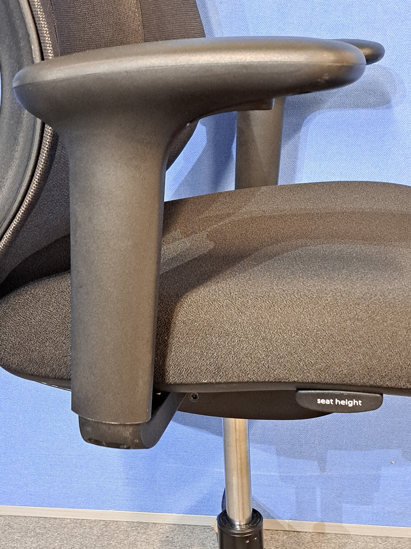 Black office chair on  blue wall and grey carpet