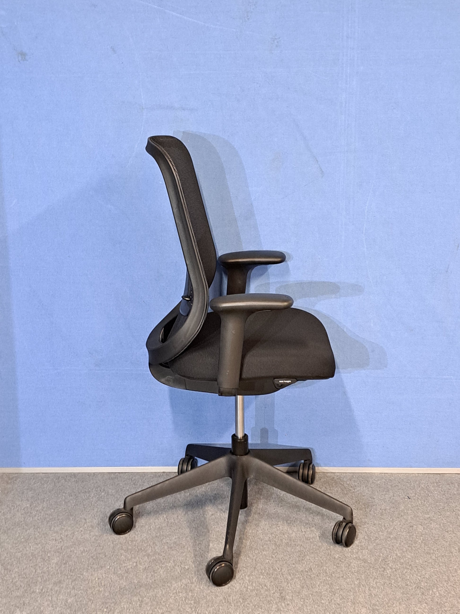 Black office chair on blue wall and grey carpet