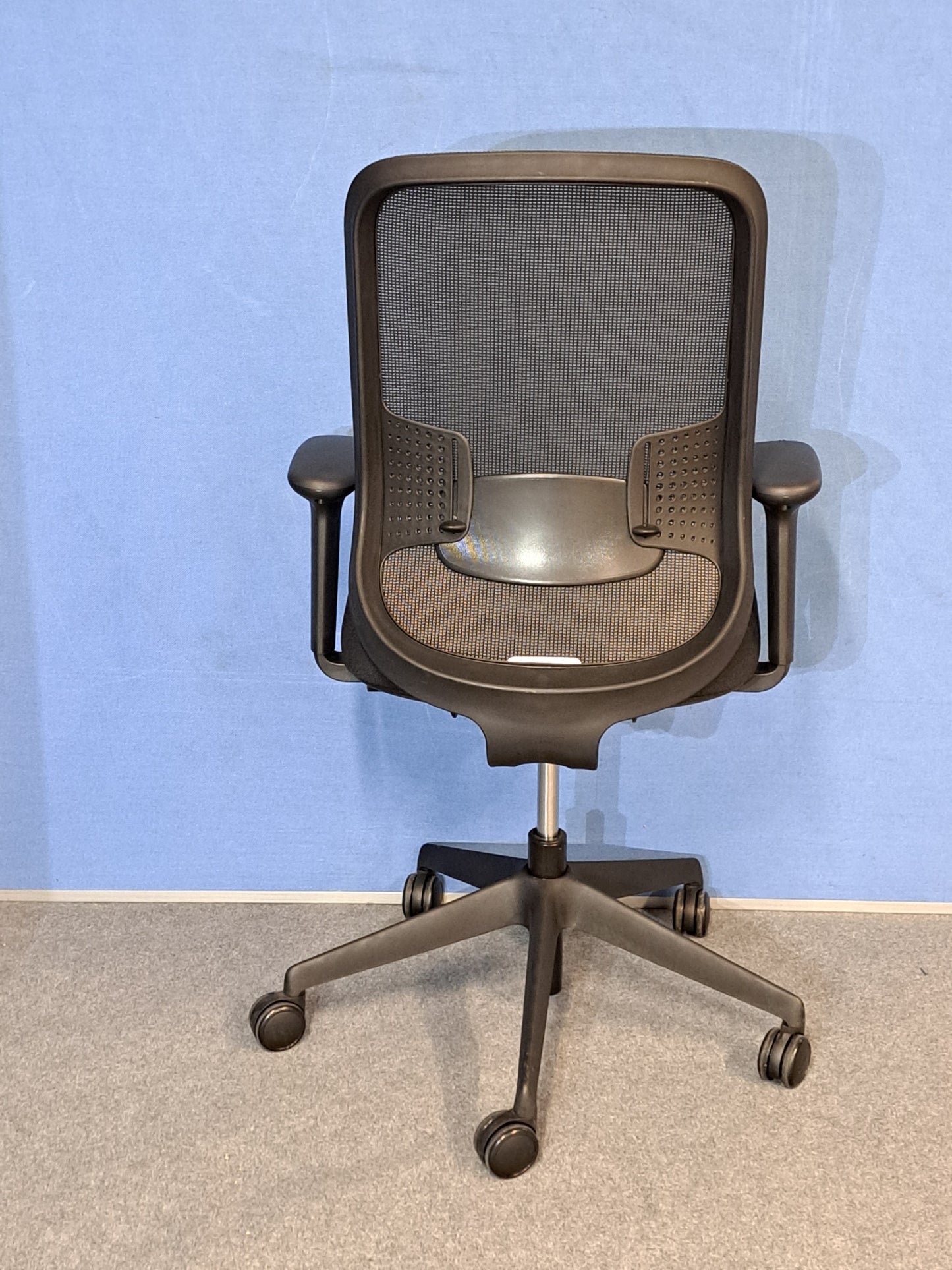 Black office chair on blue wall and grey carpet