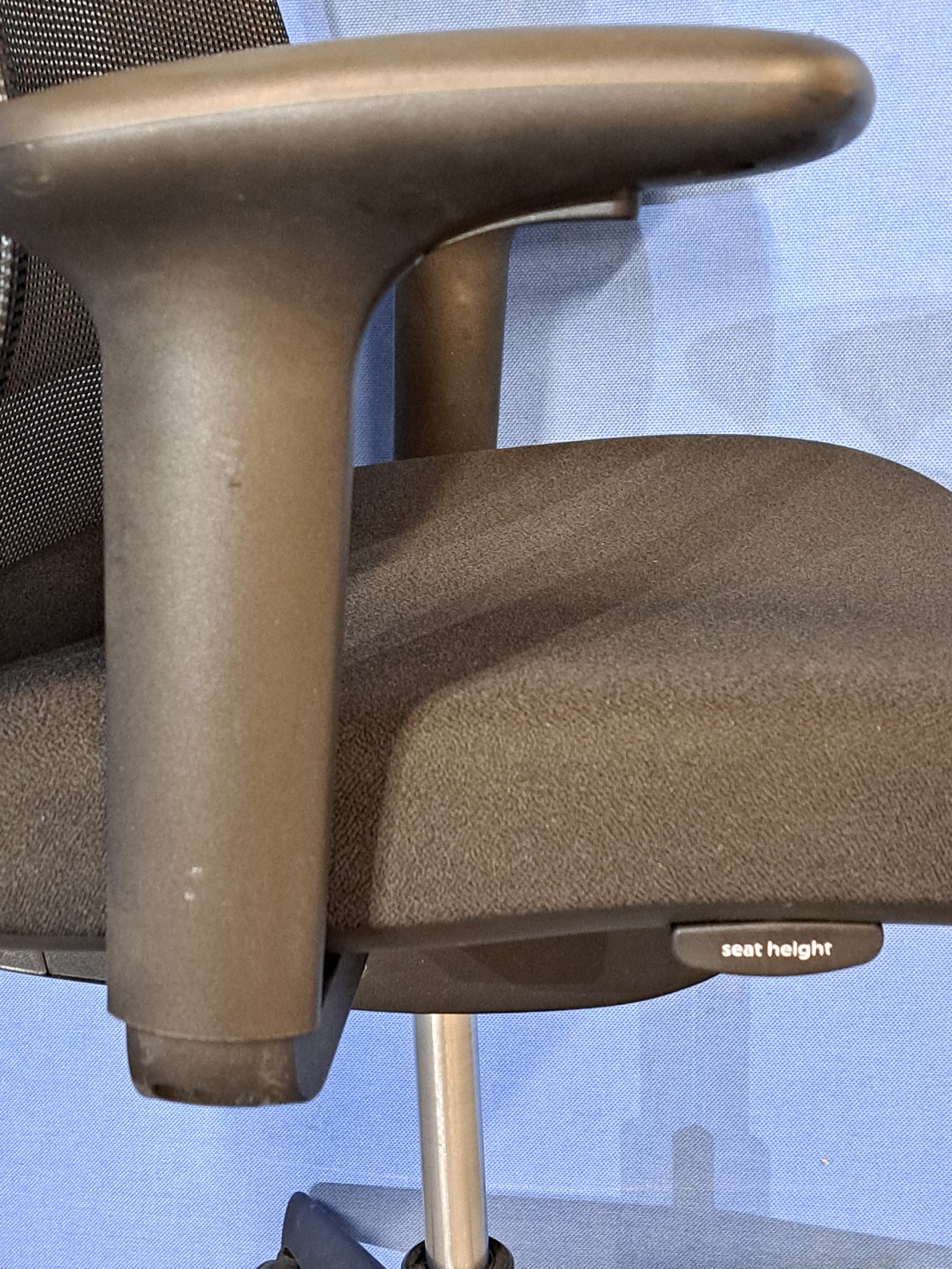 Black office chair on blue wall and grey carpet