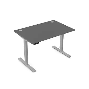 Zoom 1200mm Height Adjustable Electric Desk Graphite Top with Portal Finish & Silver Metal Legs